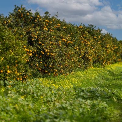 2af5c89f-e349-41d4-b427-a6af75cb65b5