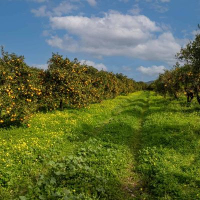 3a8e0bd0-33fe-47b7-bc66-bed6c9373784