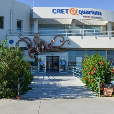 Enidreio 1 - Foto apo site tous