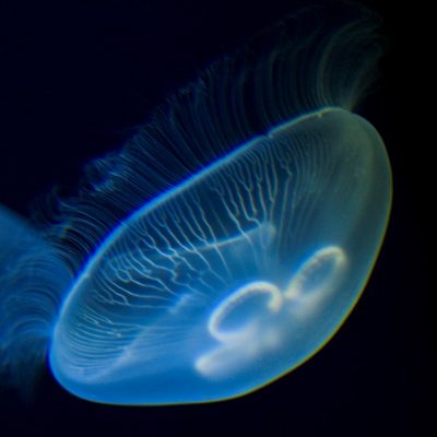 Enidreio 14 - Foto apo site tous
