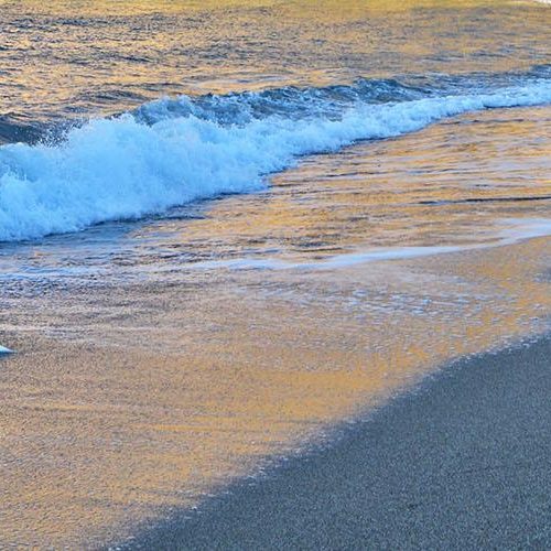 beach_1920_500_05_9.jpg
