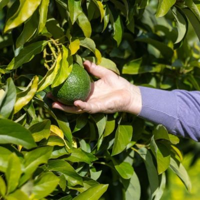 d8830869-24e0-48c7-9356-a1b7ab004316