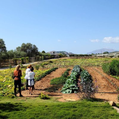 farm-to-table-landscape-2