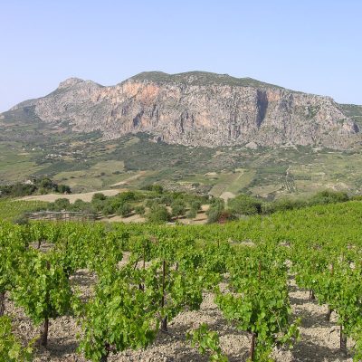 wine-routes-malevizi-05.jpg